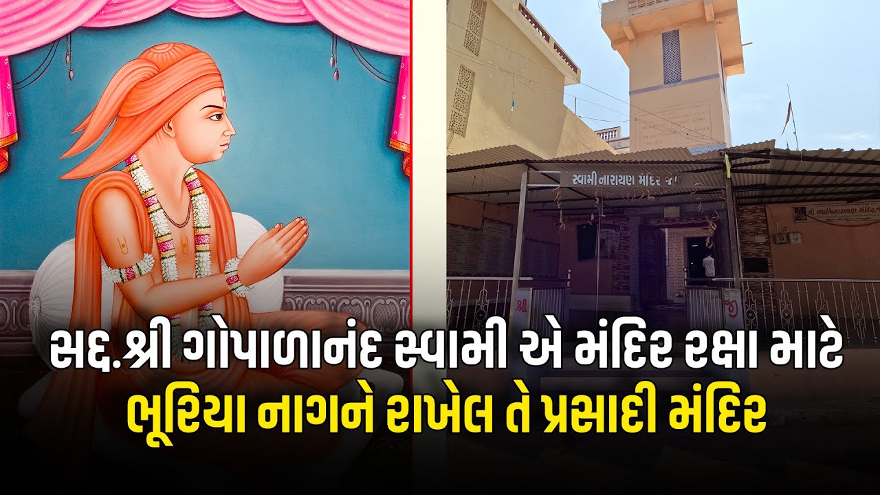 ગોપાળાનંદ સ્વામી એ મંદિર રક્ષા માટે ભૂરિયા નાગને રાખેલ તે પ્રસાદી મંદિર...