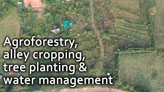 Permaculture Tools for Soil Repair | Agroforestry, alley cropping, tree planting &amp; water management