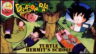 Explanation of the teachings of the Turtle Hermit School! [DB Journey}