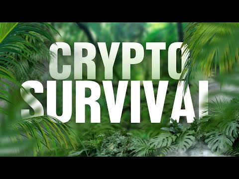 6 Months of PAIN for CRYPTO (What To Expect)