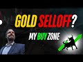 Gold Selloff? My Buy Zone & 2 Hot Commodity Picks!