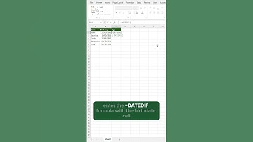 Stop Calculating Age Manually! Use This Excel Formula Instead!