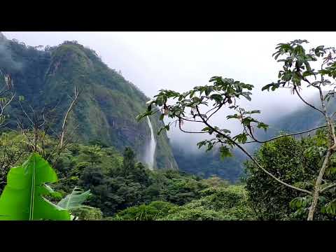 Agua Selva. Huimanguillo Tabasco. Turismo de Naturaleza y Aventura,  cascadas y arroyos