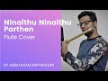 Ninaithu ninaithu parthen flute cover  anbalagan anpparasan