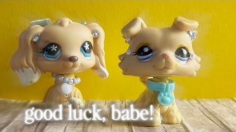 Lps Mep Parts - Good Luck, Babe! | for @emmalps011