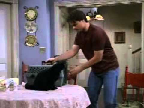 Salem Saberhagen vs Aaron