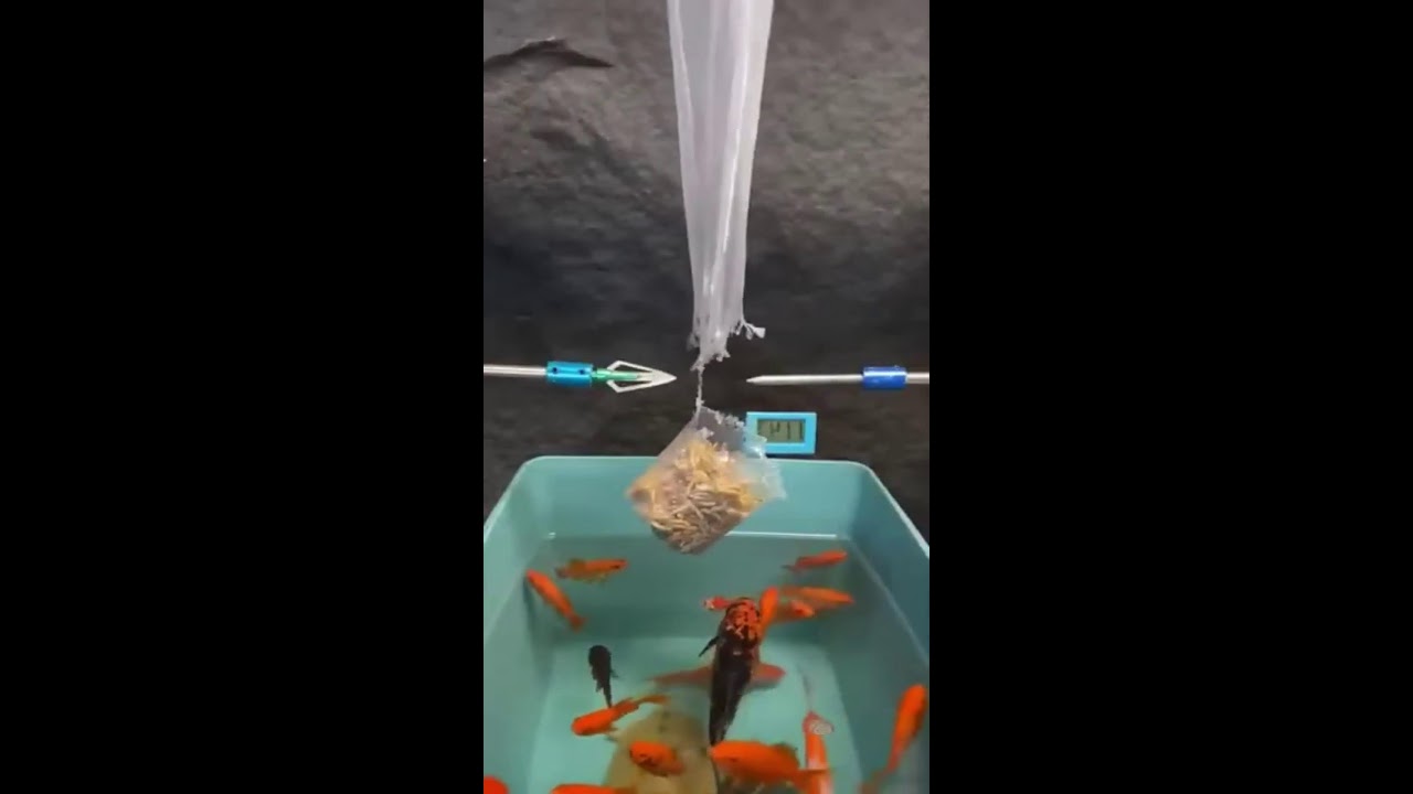 СТРИМ ШОРТС ИГРАЕМ