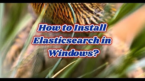 Step-by-Step Guide: Installing and Downloading Elasticsearch on Windows