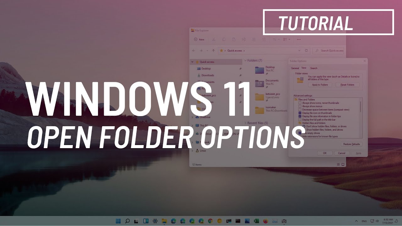 Windows 11: Open Folder Options in File Explorer
