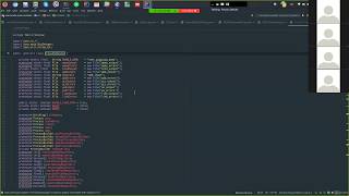 Maxine CrossISA RISCV Debugging Session