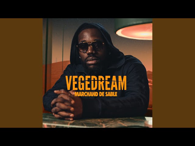 tout casser vegedream tout casser vegedream