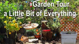 Garden Tour \& a Little bit of Everything TIPS-Growing Food Solar Fountains, Container Gardening Tips