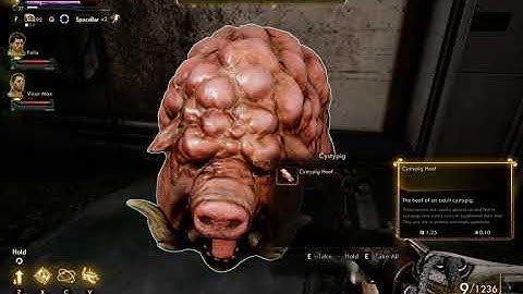 "Invalid 408 Game/Areas" - Accidentally included Dev Map in Outer Worlds