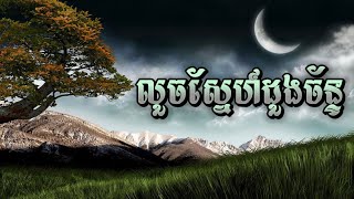 លួចស្នែហ៍ដួងច័ន្ទ - Lyrics Remix