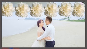 Share Transition Proshow Producer - Free Downloads Part 56