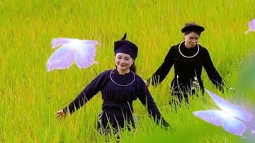 Lượn Cọi : Bản Sắc Dân Tộc Tày Cao Bằng Làn Điệu Cọi Mừng Xuân Rất Hay