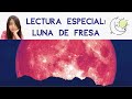 Mensaje del Eclipse Luna de fresa ✨🌑 TAROT INTERACTIVO