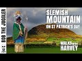 Walks with Harvey - Slemish Mountain, Antrim Hills