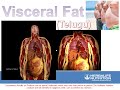 Visceral fat telugu