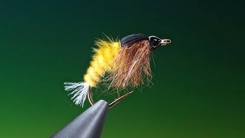 Fly tying a Caddis/sedge Pupa with Barry Ord Clarke
