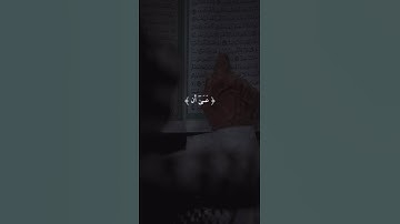 اكتب شيء تؤجر عليه 😴🩶 | قران كريم | فارس عباد