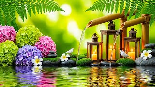 Relaxing Meditation Music with Piano & Nature Sounds 🌱 Deep Healing Music, Water Sound