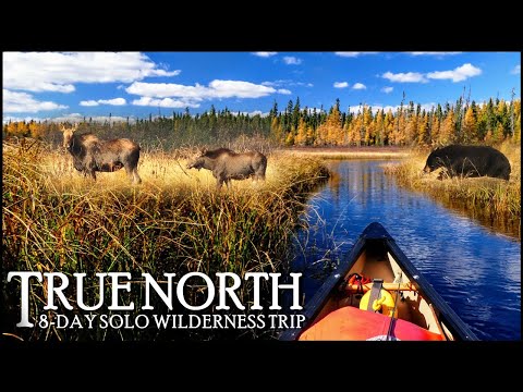 8-Day / 175km Solo Wilderness Fishing Trip: Walleye & Wildlife in the Far North