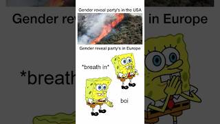 USA vs Europe Memes 10