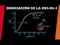 Curva de disociación de oxihemoglobina 3 - [visita mi Podcast y aprende Medicina mientras descansas]