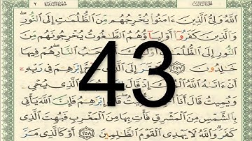 القرآن الكريم - أيمن سويد الصفحة 43