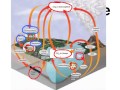Understanding the Carbon Cycle