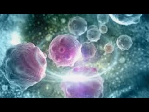 السكر وتخريب كريات الدم البيض