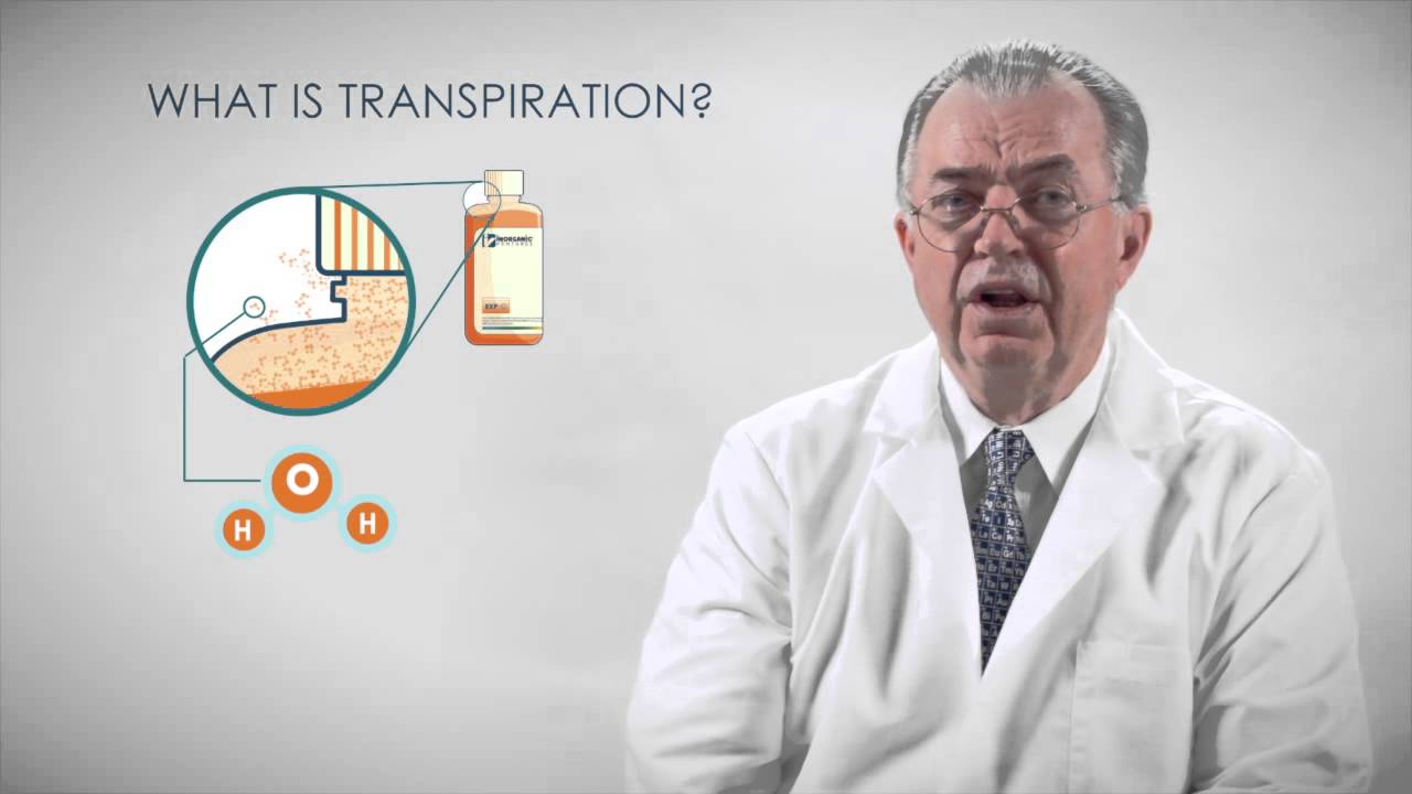 Quality Control with TCT - YouTube