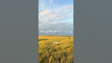 سورة الانسان عينا فيها تسمى سلسبيلا | محمد الحيدان #قرآن #quran #راحة_نفسيه