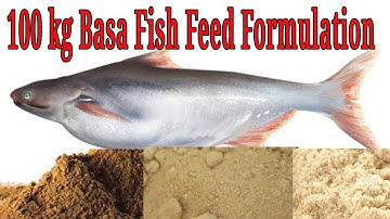 On firm 100Kg Basa / Pangus Fish Feed Formulation। Pangus or Basa Fish Farming.