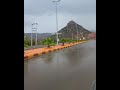 شيلة كورونا