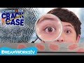 Shneck and Crack the Case Quiz