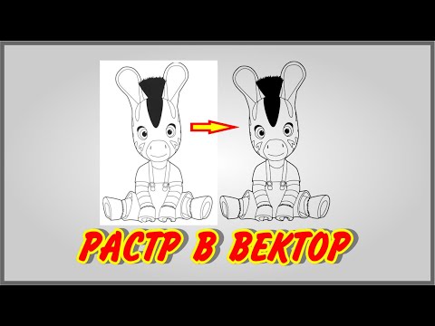 Трассировка. Растр в вектор. Вариант №2.