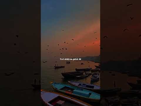 Akhiyan Gulab👀💕||Whatsapp Status||#trending​