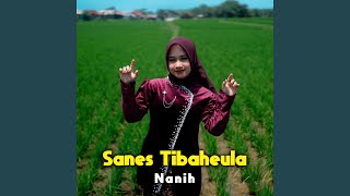 Sanes Tibaheula