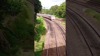 class_s8 passenger train ? in srilanka |passengertrain  macs48 train railway dmu viralvideo
