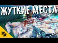 FAR CRY 6 СТРАШНЫЕ ПАСХАЛКИ- ПРИЗРАКИ В ОСОБНЯКЕ, Деревня CMEPTИ, ПИРАТСКИЙ КОРАБЛЬ, Мутант Вивиро