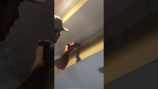 Soothing video of tray ceiling being painted with a Purdy Pro Extra 3” angle sash and Collosus 4”.