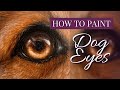 How to Paint: DOG EYES with Oil Paint or Acrylic Paint - Golden Dog Eye Tutorial - Oil Painting