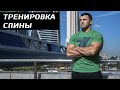 Тренировка Спины | Дмитрий Берестов