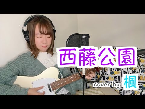 【弾き語り】西藤公園 / back number｟cover by 楓｠