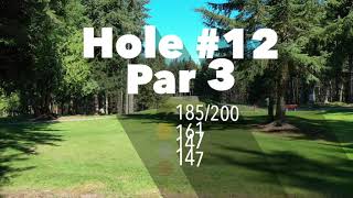 BC Hole 12