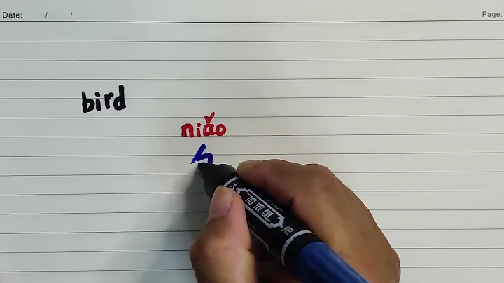 How to write and say Bird 鸟 in Chinese language | Chinese character handwriting