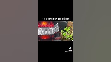 Bán cạn mini để bàn kết hợp tiểu cảnh