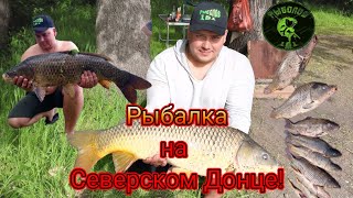 Рыбалка на Северском Донце!